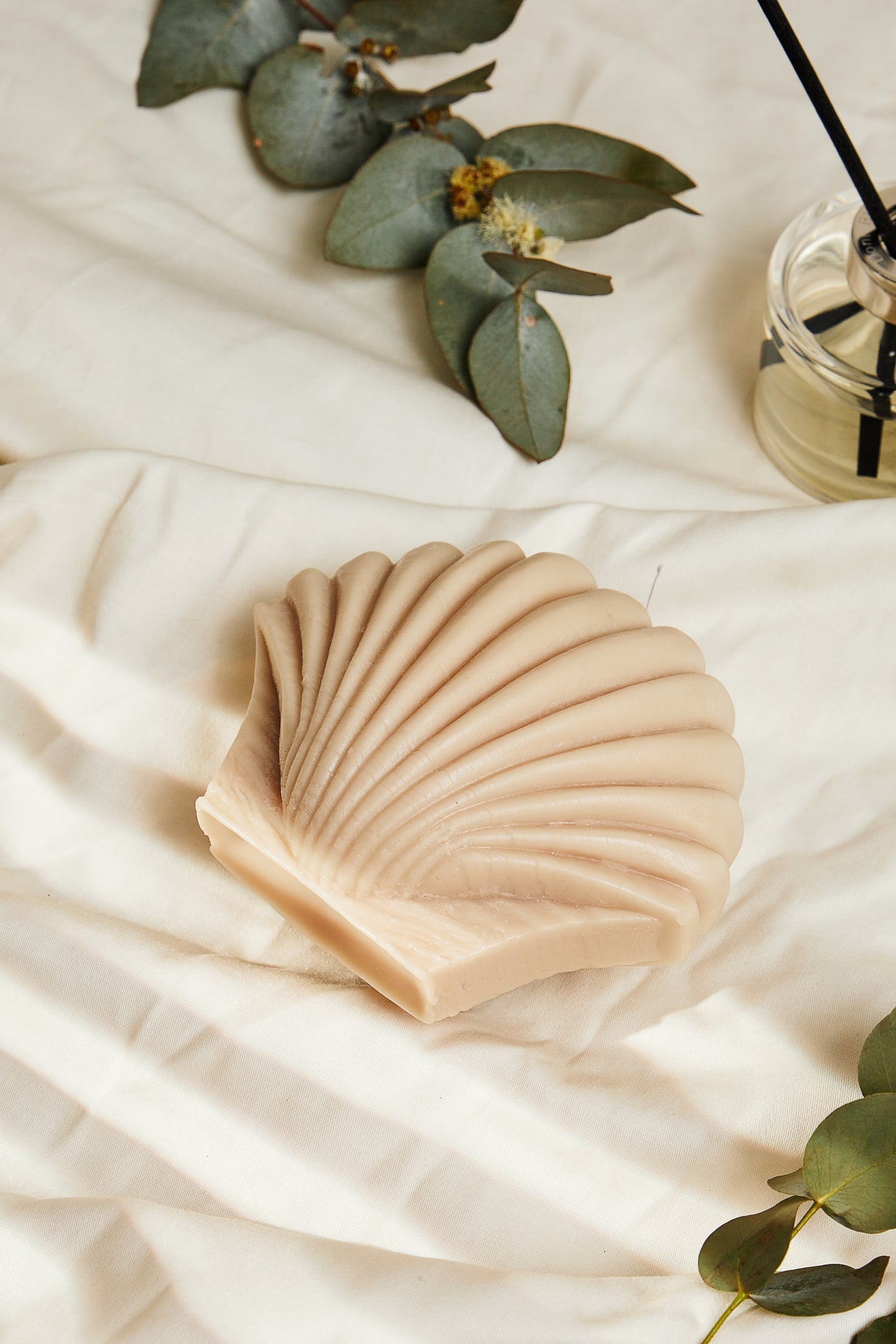 Shaped shell