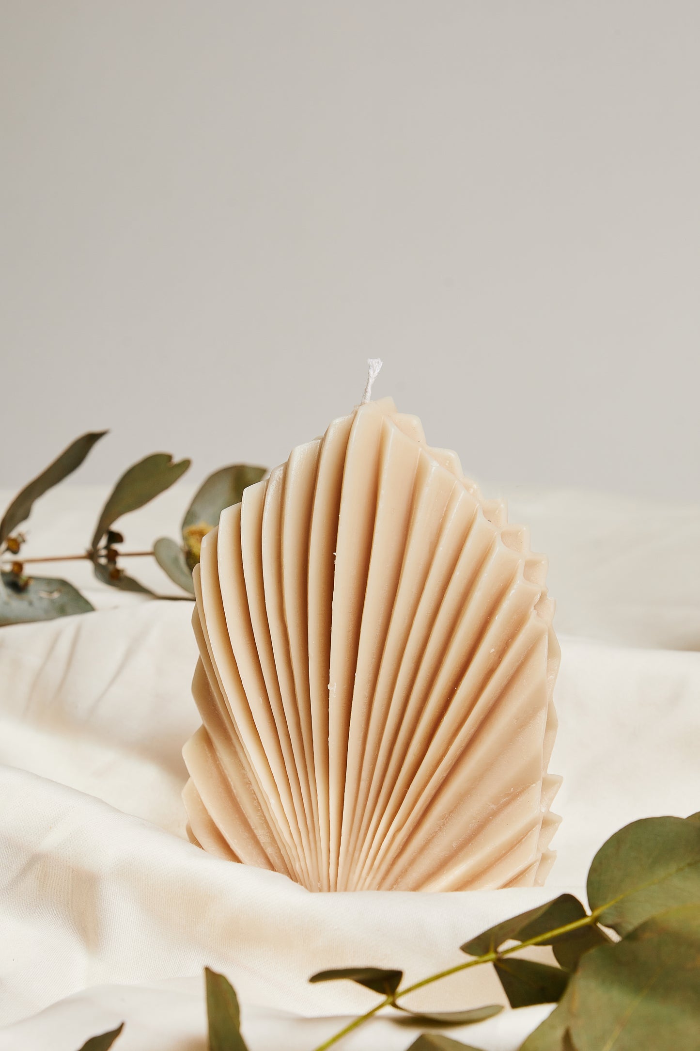 Shaped leaf