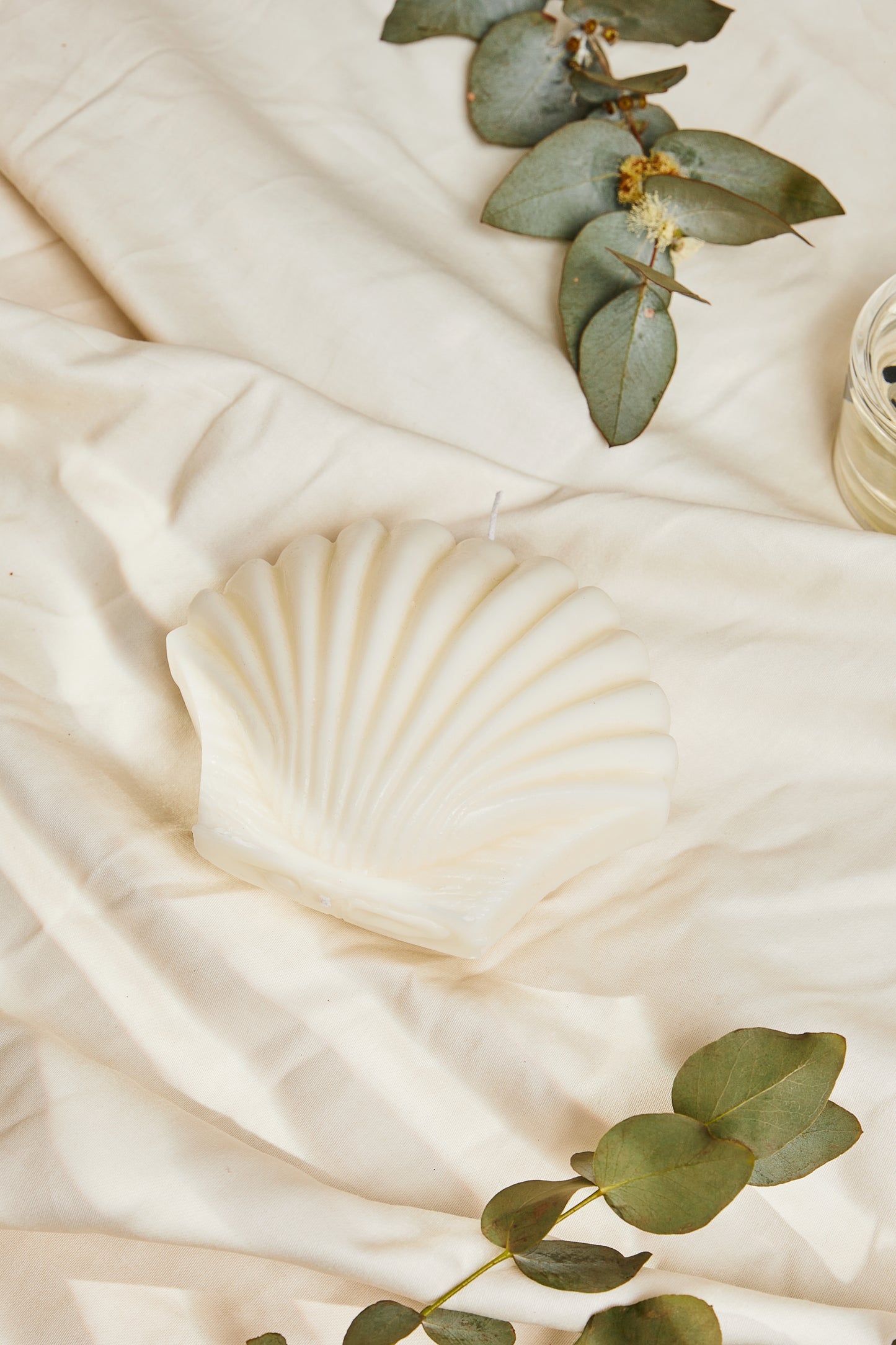 Shaped shell