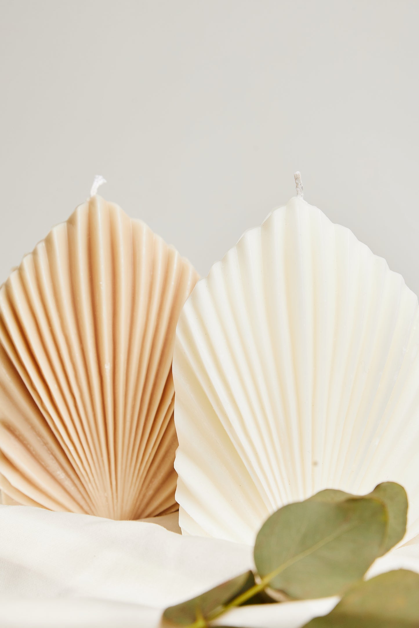 Shaped leaf